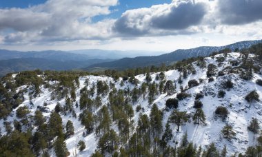 Karla kaplı dağ karlı orman manzarasının insansız hava aracı manzarası. Kış fotoğrafı.