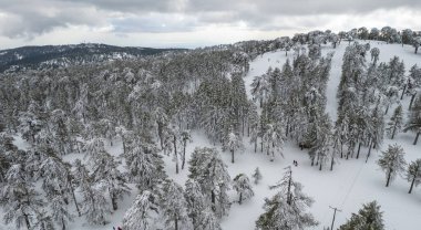 Karla kaplı dağ karlı orman manzarasının insansız hava aracı manzarası. Kış fotoğrafı.