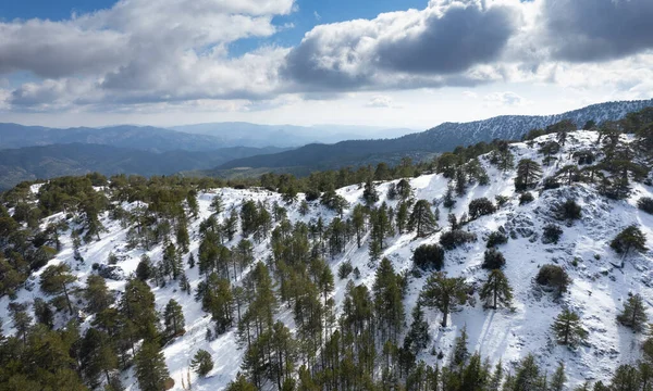 Karla kaplı dağ karlı orman manzarasının insansız hava aracı manzarası. Kış fotoğrafı.