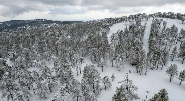 Karla kaplı dağ karlı orman manzarasının insansız hava aracı manzarası. Kış fotoğrafı.
