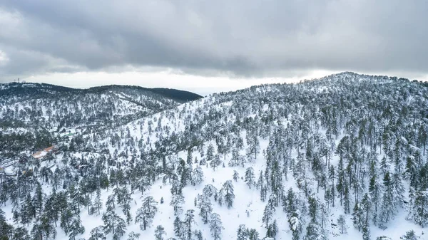 Drone aerial scenery of mountain snowy forest landscape covered in snow. Wintertime photograph — Stockfoto