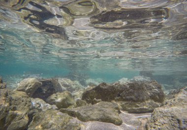 Kayalık dipli sualtı arka planı