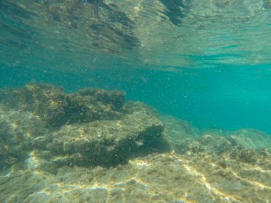 Kayalık dipli sualtı arka planı