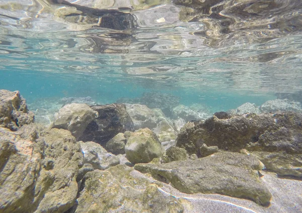 Podwodne tło morskie z skalistym dnem — Zdjęcie stockowe
