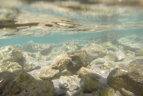 해저에서 바위가 많은 해저 환경 — 스톡 사진