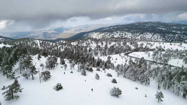 Drone aerial scenery of mountain snowy forest landscape covered in snow. Wintertime photograph — Stockfoto