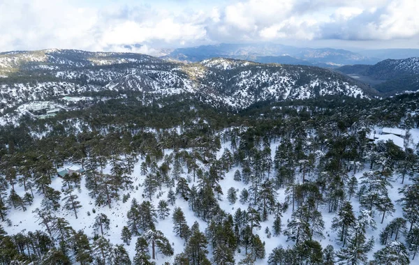 Karla kaplı dağ karlı orman manzarasının insansız hava aracı manzarası. Kış fotoğrafı.