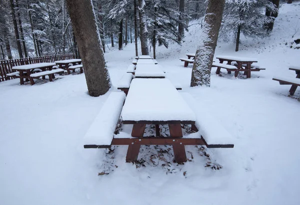 Forest picnic area with food wooden bench covered in snow. Winter snowy season snowstorm. — Stock Photo, Image