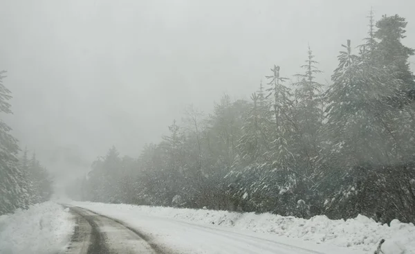 森の中で冬の氷の滑りやすい危険な道路。雪の山吹雪. — ストック写真