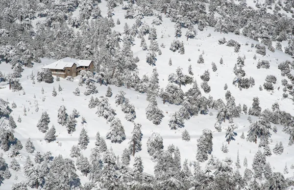 Ensam stuga vid sluttningen av ett snöigt berg på vintern. Troodos skog Cypern vinter. — Stockfoto