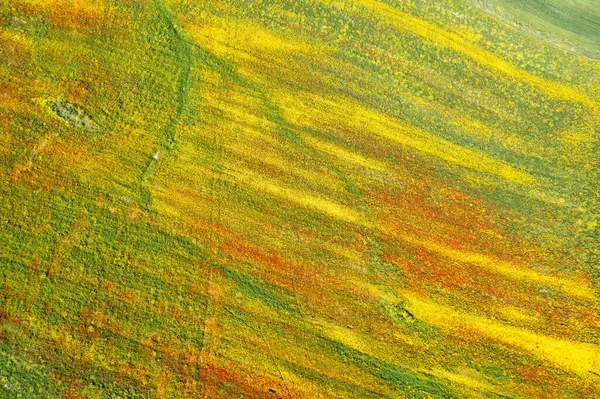 Drón légi mező sárga virágzással és vörös virágokkal. Tavaszi táj háttér — Stock Fotó