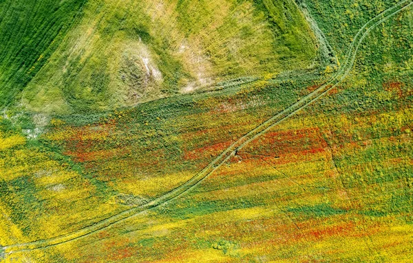 Повітряне поле безпілотника з жовтими квітами і червоними квітами. Весняний пейзажний фон — стокове фото