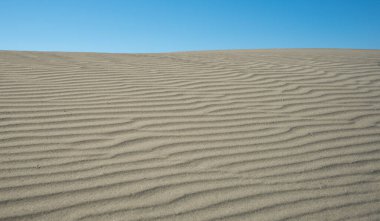Kum tepeleri mavi gökyüzünü kaplar. Kopyalama alanı, çöl kuru kıyı Kıbrıs