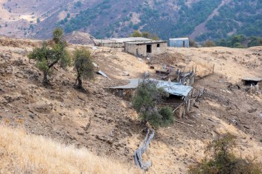 Tepedeki çiftlikte keçi çiftliği. Terk edilmiş yer, Paphos Kıbrıs