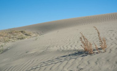 Kum tepeleri mavi gökyüzünü kaplar. Kopyalama alanı, çöl kuru kıyı Kıbrıs