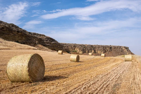 Harvesting Hay Bales Wheat Field Agriculture Outdoors Cyprus — Stock Photo, Image