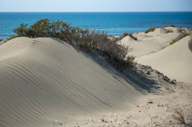 Sand dunes against at coast. Copy space, Desert dry coast land Cyprus