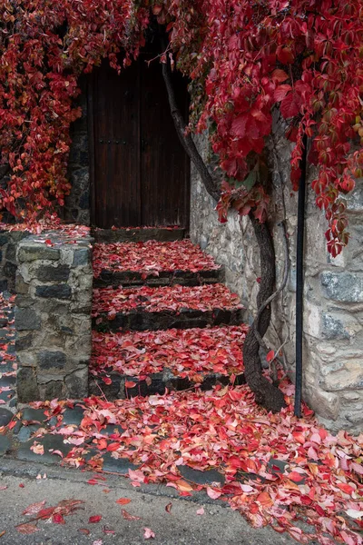 Traditional Entrance Stoned House Yellow Maple Leaves Autumn Kalopanayiotis Village — Stock fotografie