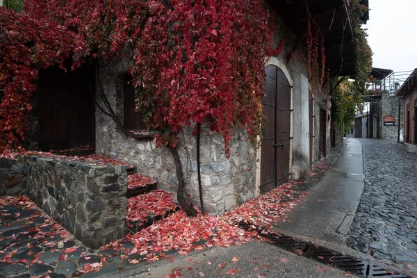 Neighbourhood Traditional House Village Kalopanagiotis Autumn Cyprus — Stock fotografie