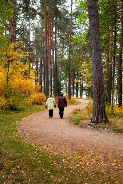 Unrecognized People Walking Forest Autumn Season Trees Dry Yellow Leaveskuopio — Stock Photo, Image