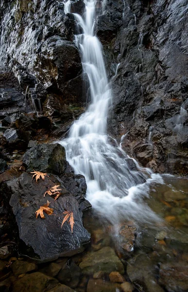 秋天的瀑布 Troodos森林塞浦路斯欧洲 — 图库照片