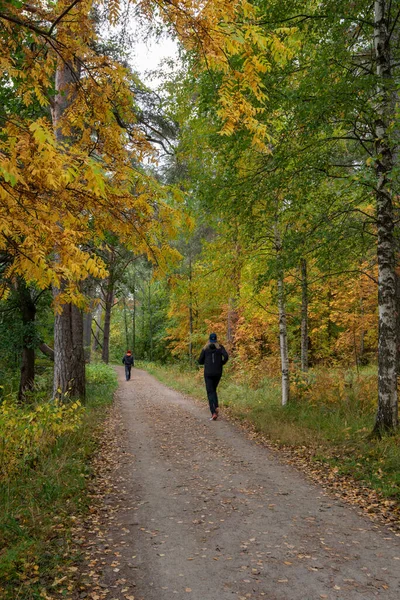 Αναγνωρισμένοι Άνθρωποι Περπατούν Και Κάνουν Πεζοπορία Στο Δάσος Την Φθινοπωρινή — Φωτογραφία Αρχείου