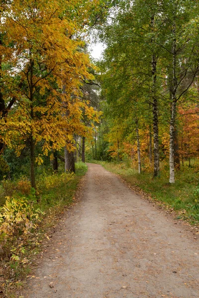 Herbstliche Waldlandschaft Mit Apfelgelben Blättern Auf Dem Boden Fußweg Park — Stockfoto