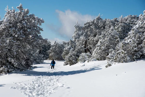 Troodos Cyprus Januari 2022 Skiër Skiën Sneeuw Troodos Berg Cyprus — Stockfoto