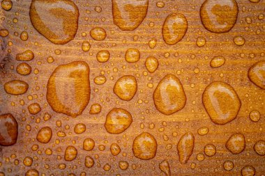 Yağmurdan düşen parlak su damlaları ve ıslak ahşap kalaslarla kaplı sönük ahşap dokunun yatay arka planı