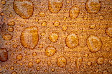 Yağmurdan düşen parlak su damlaları ve ıslak ahşap kalaslarla kaplı sönük ahşap dokunun yatay arka planı