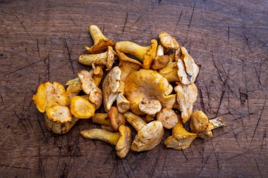 Masanın üzerine taze Cantharellus cibarius mantar.