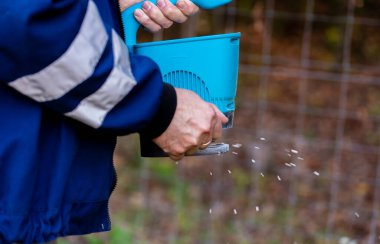 Bahçe işçisi bahçesinde gübreleme çimenliği ile.