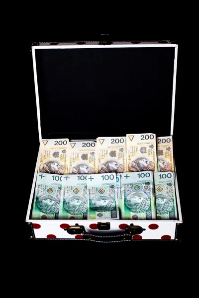 Gran premio en la lotería - dinero polaco en maletín colorido — Foto de Stock