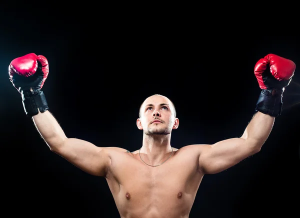 М'язовий боксер у жесті перемоги — стокове фото