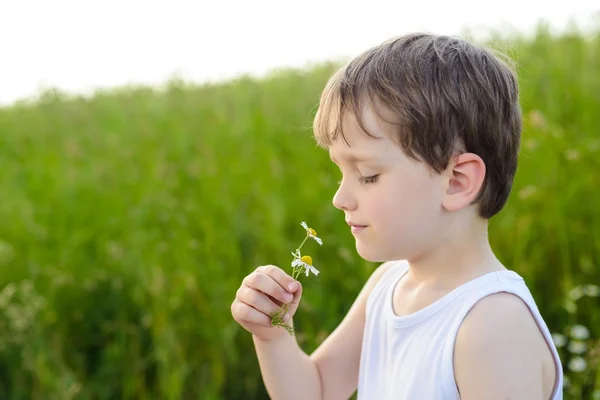 Pequeño niño oliendo una margarita — Foto de Stock