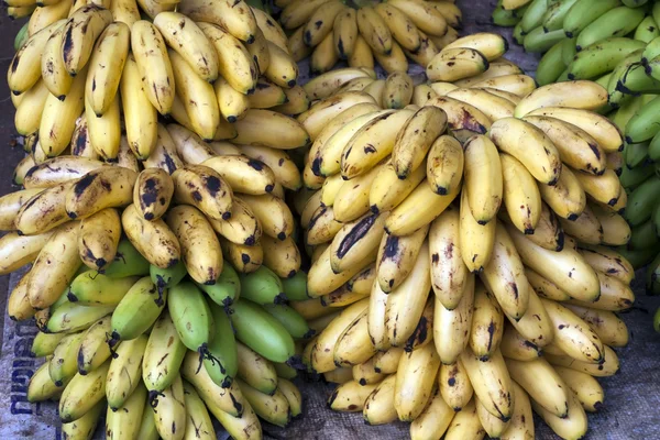 Yellow and Green Bananas on market stall — Stock Photo, Image