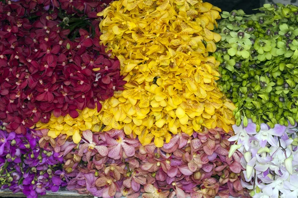 Klasar av orkidéer på blomstermarknaden — Stockfoto