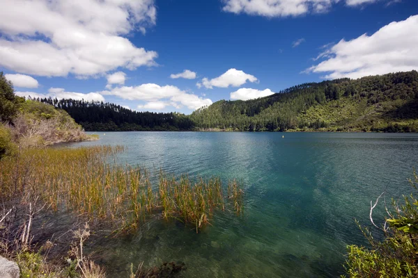 Mavi Göl, north Island, Yeni Zelanda