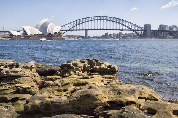 Sydney Harbour Bridge and Opera House from the Botanical Gardens