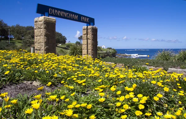 Dunningham Park, Coogee, Sydney — Stock Photo, Image