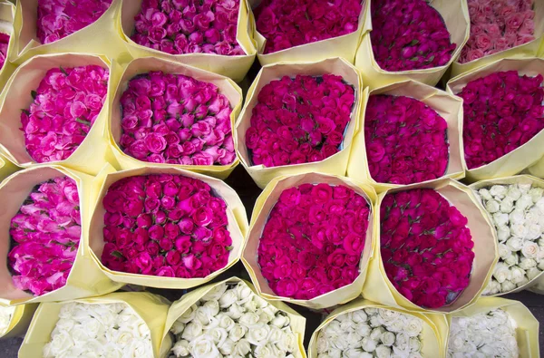 Rózsák eladó — Stock Fotó