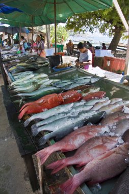 RAWAI, PHUKET, THAILAND - FEB 7TH: Fish market in Rawai on Febru clipart