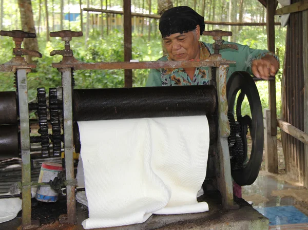 PHUKET, TAILANDIA - 10 de agosto: Una mujer desconocida rueda látex harves —  Fotos de Stock