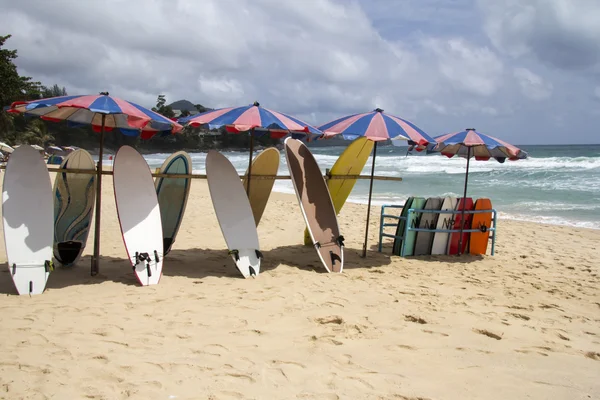Tablas de surf en la playa de Surin 2 — Foto de Stock