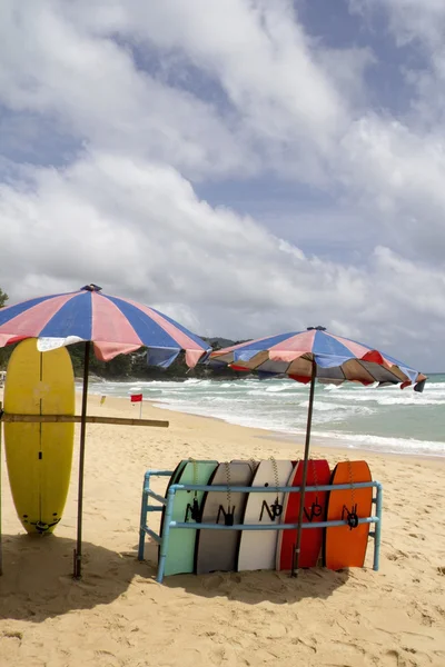 Доски для серфинга на пляже Сурина — стоковое фото