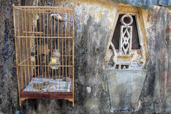 Птичья клетка и окно — стоковое фото