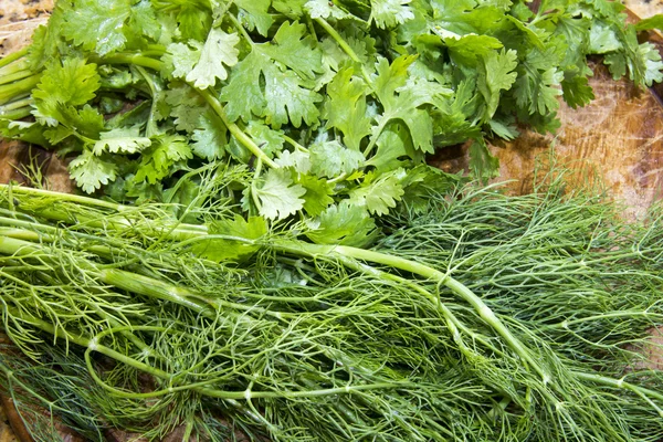 Fresh dill and coriander — Stock Photo, Image