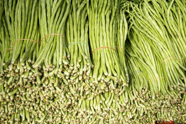 Long green beans — Stock Photo, Image