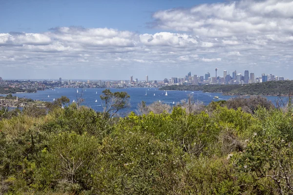 Sydney from North Point — Stock Photo, Image