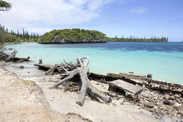 Shoreline, Kuto — Stok fotoğraf